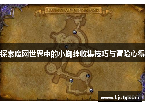 探索魔网世界中的小蜘蛛收集技巧与冒险心得